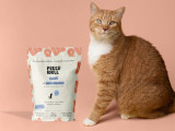 Alimentation : offrez à votre chat le meilleur