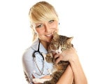 Santé de votre chat : vos dépenses remboursées