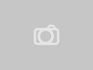 Annonce Chats à vendre