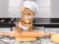 Image amusante d'un chat en train de cuisiner avec un rouleau pâtissier