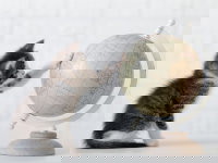 Un chaton joue avec un globe terrestre