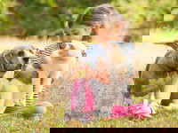 Une petite fille joue avec un chien Beagle et un chat blanc dans le jardin