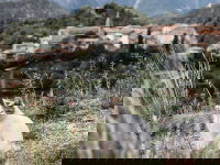 Un chat en liberté près du village de La Tour, en Provence (France).