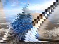 Un chat gris tigré devant le hublot d'un avion