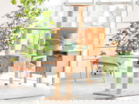 Un bel arbre à chat en bois installé dans un salon