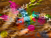 Différents types de jouets pour chat disposés sur le parquet